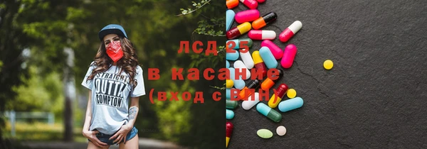 стаф Алзамай