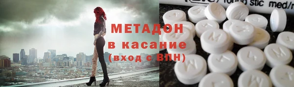 стаф Алзамай