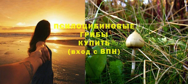 спайс Алексеевка