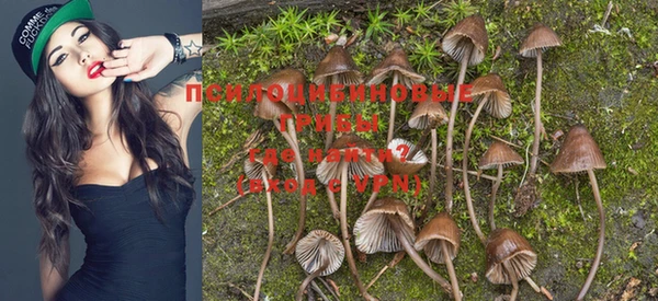 PSILOCYBIN Алексин