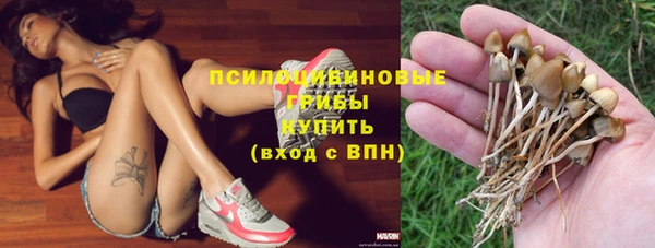 стаф Алзамай